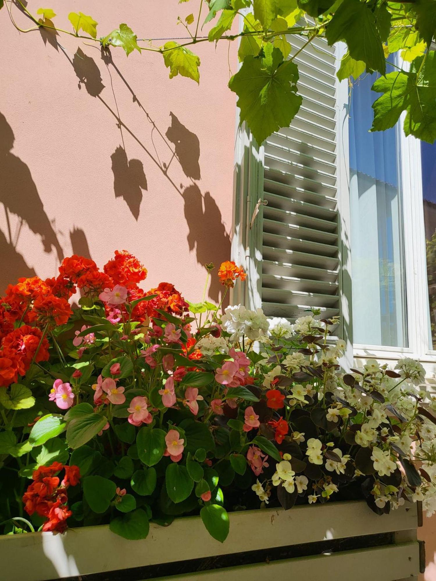 Il Buen Retiro Hotell Lucca Eksteriør bilde