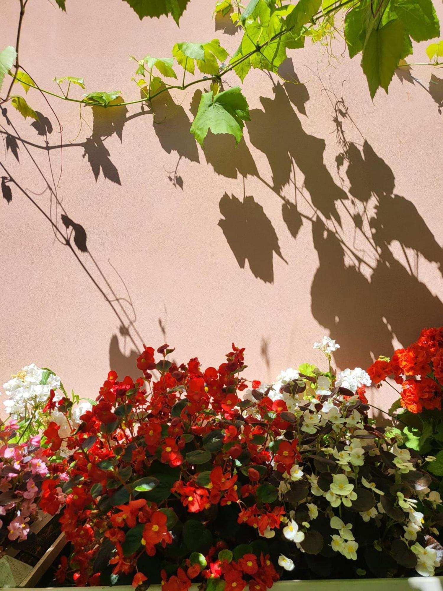 Il Buen Retiro Hotell Lucca Eksteriør bilde