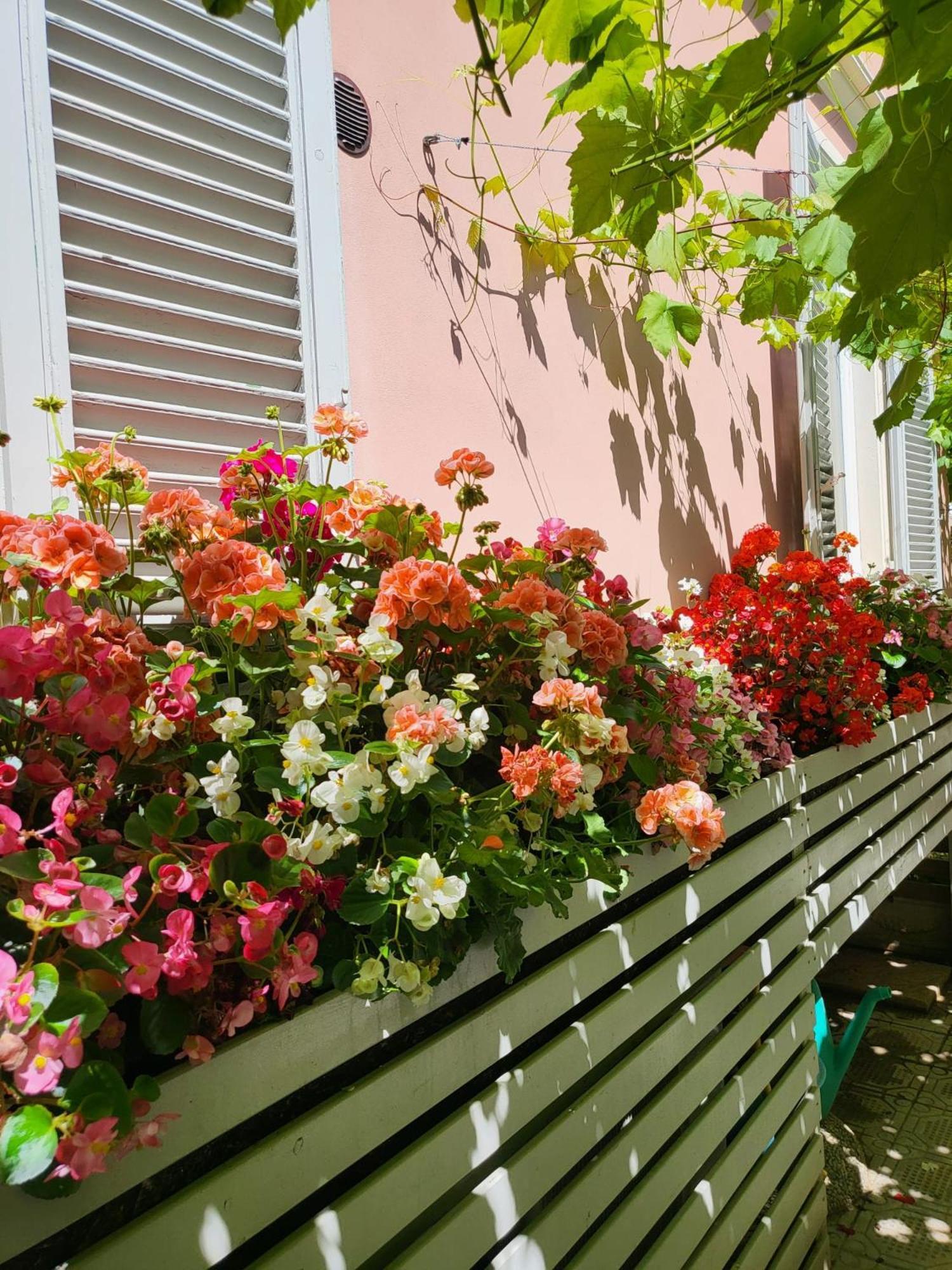 Il Buen Retiro Hotell Lucca Eksteriør bilde