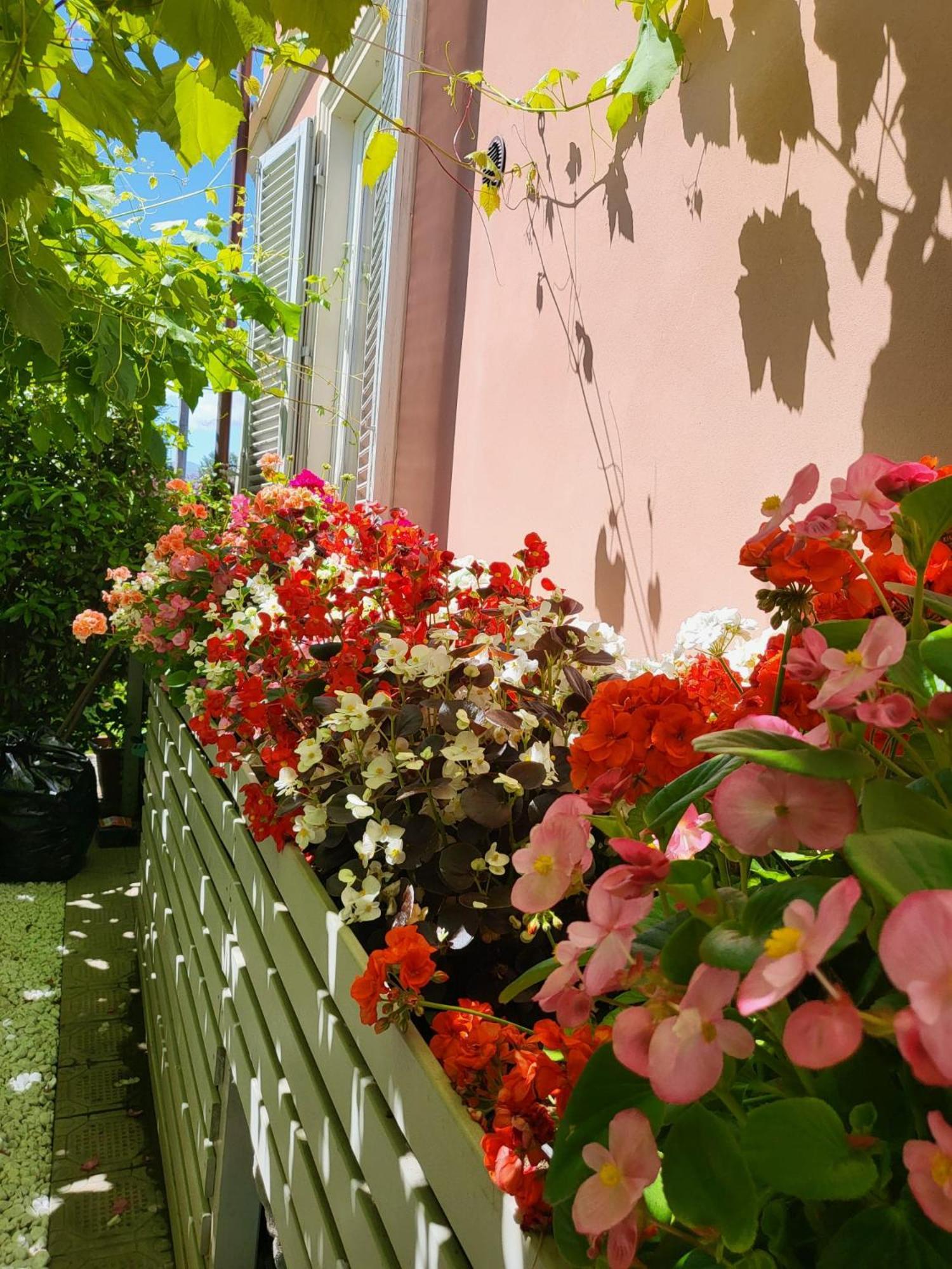 Il Buen Retiro Hotell Lucca Eksteriør bilde
