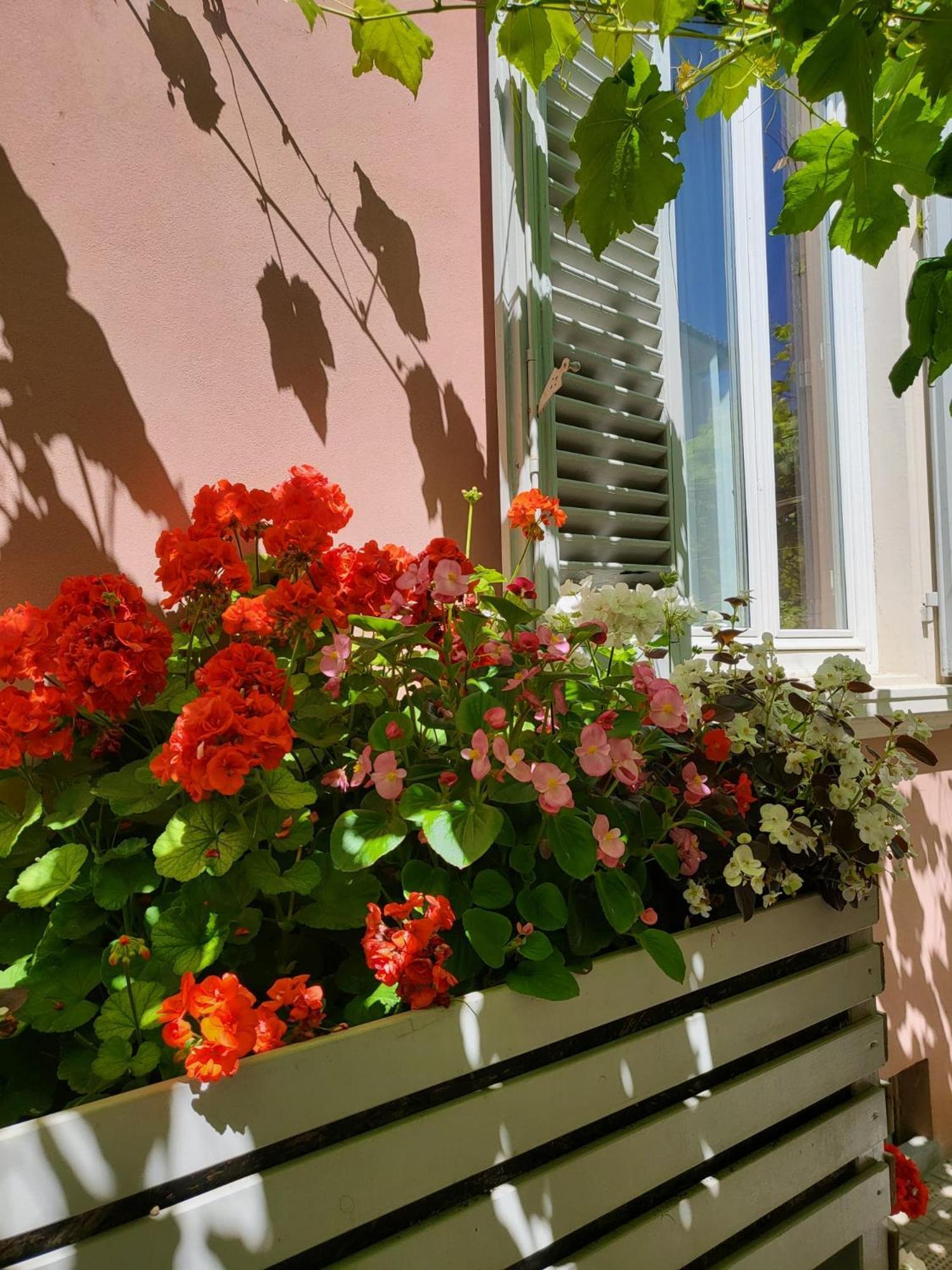 Il Buen Retiro Hotell Lucca Eksteriør bilde