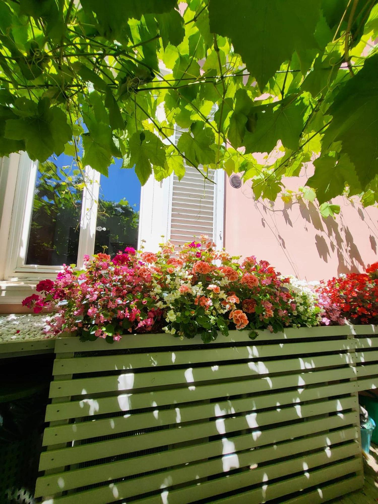 Il Buen Retiro Hotell Lucca Eksteriør bilde