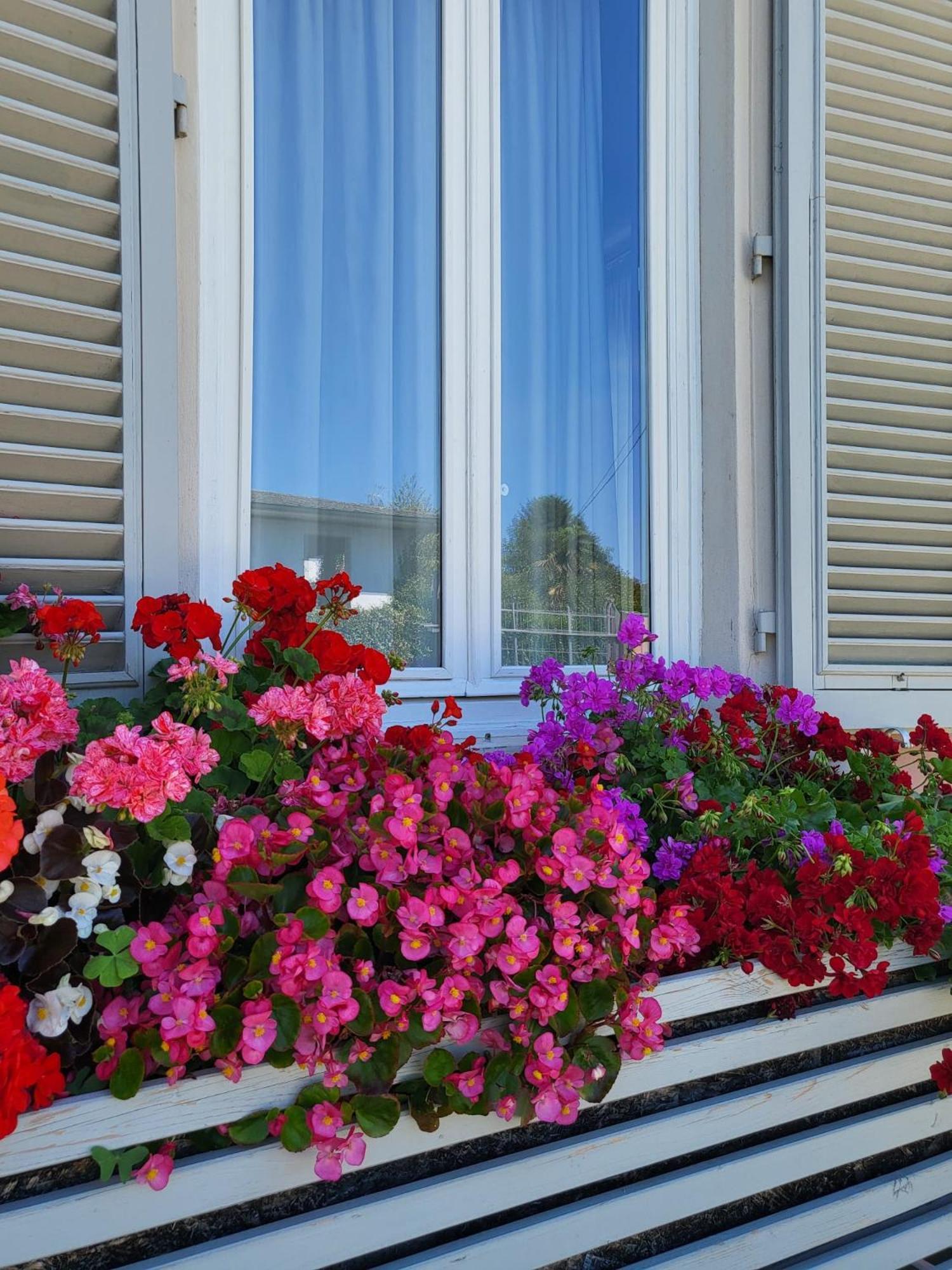 Il Buen Retiro Hotell Lucca Eksteriør bilde