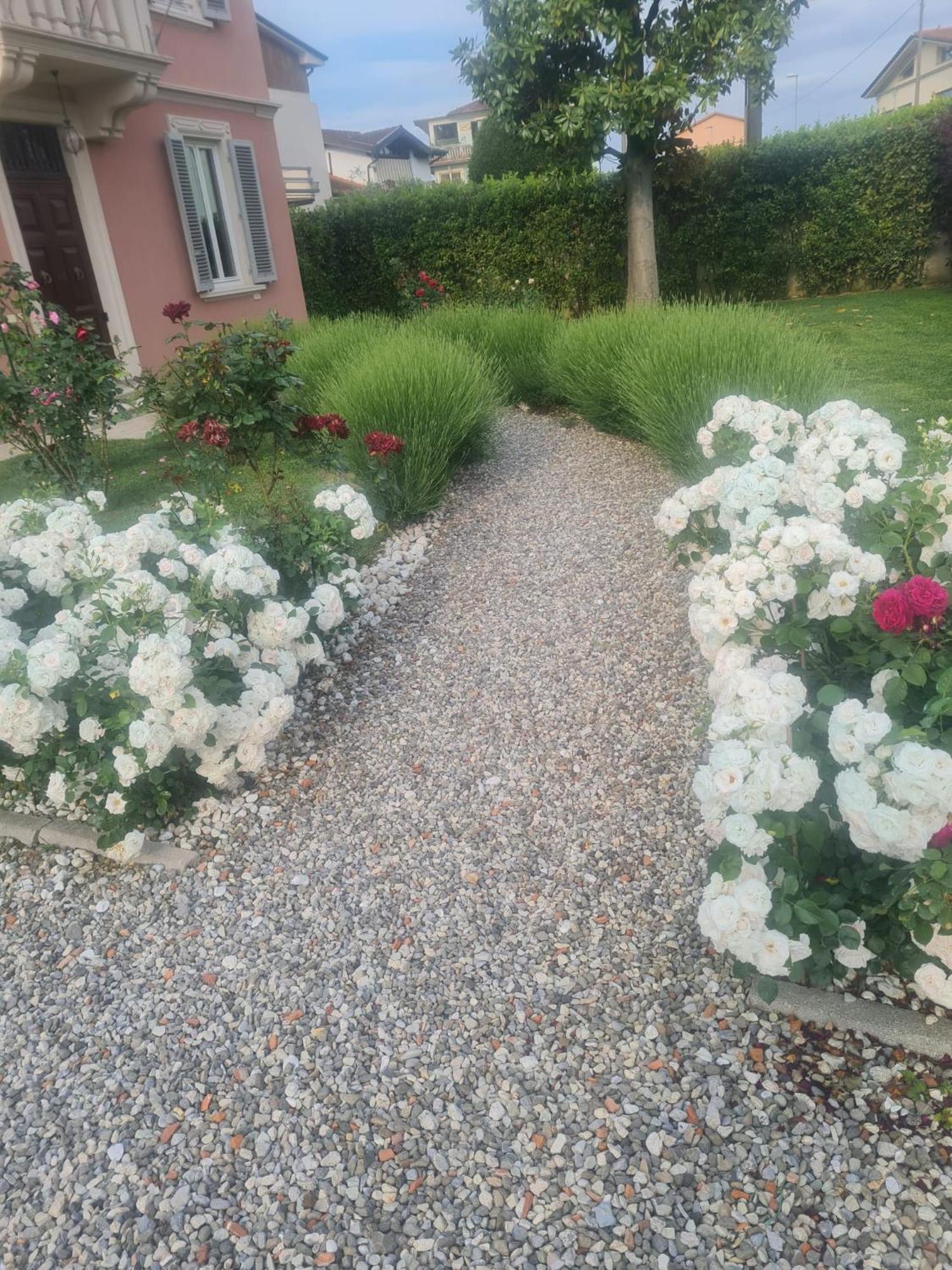 Il Buen Retiro Hotell Lucca Eksteriør bilde
