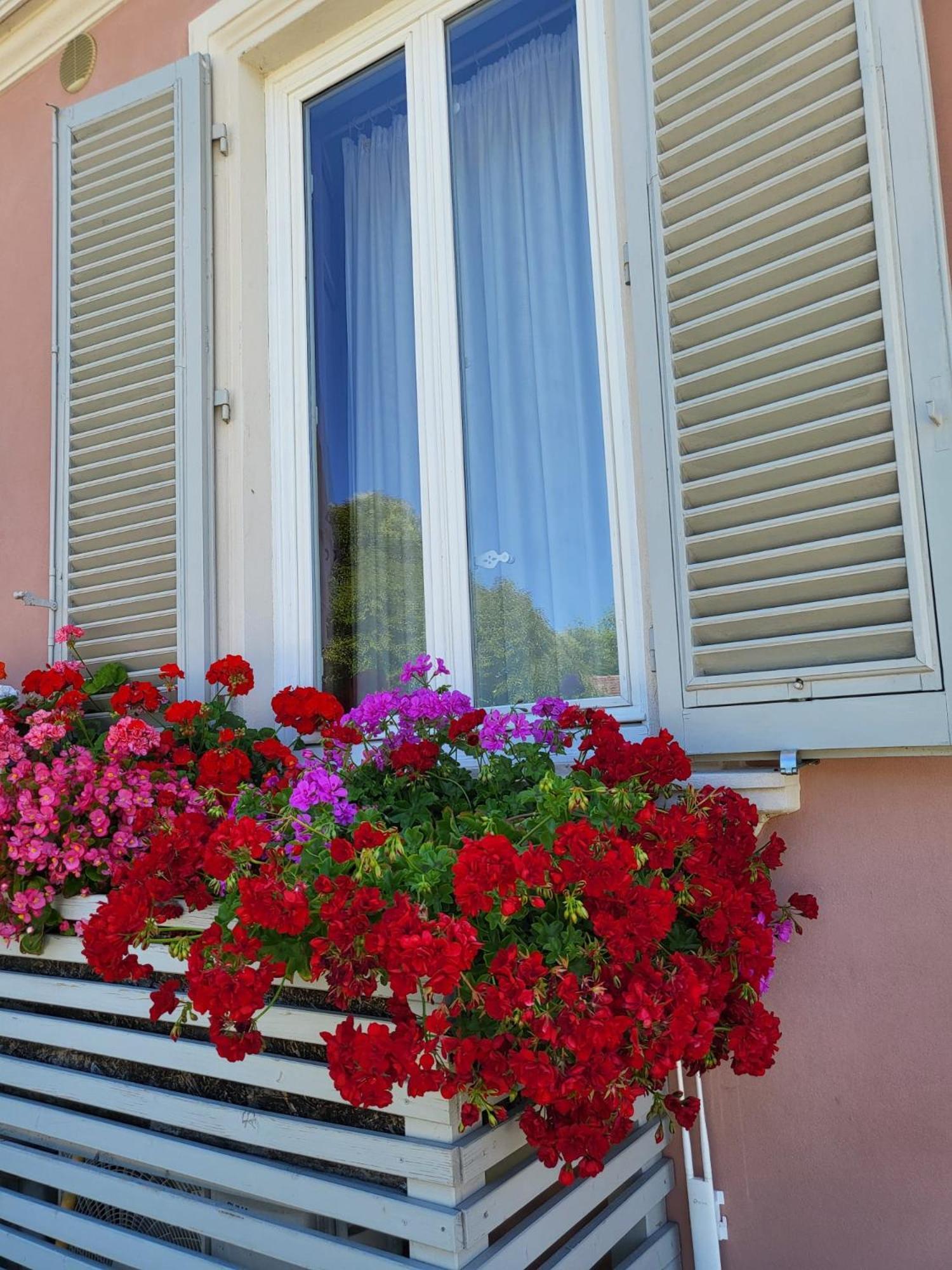 Il Buen Retiro Hotell Lucca Eksteriør bilde